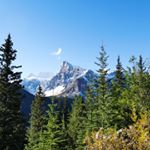 Profile Picture of Michael Holm (@holmenix) on Instagram