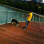 Profile Picture of Yasin kildiş (@yasin_kildis) on Instagram