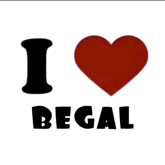 Profile Picture of 235 (@danieldzik) on Tiktok