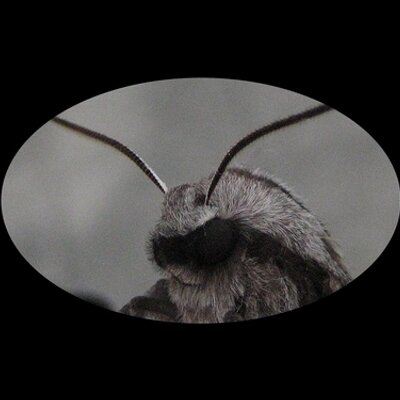 Fred Bucher - Twitter Profile Picture of Fred Bucher (@Fred_Bucher) on Twitter