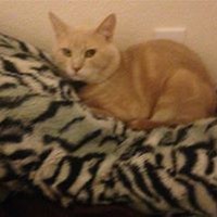 Andrew Bain - Quora Profile Picture of Andrew Bain (@andrew-bain-24) on Quora