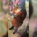 Profile Picture of Jennifer Barcelo (@jennifer.barcelo.39) on Facebook