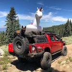 Profile Picture of David Linehan (@unicornoffroad) on Instagram