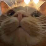 Profile Picture of Michael Lubelski (@michael.lubelski.9) on Facebook