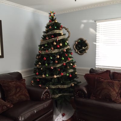 Profile Picture of Robin-Neethu Thomas (@robin_neethu) on Twitter