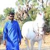 Profile Picture of Karan Asav Farm (@@mitulpatelkaranasavfarm) on Tiktok