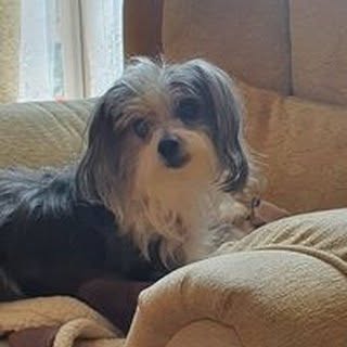 Profile Picture of Ralph Farnham (@ralph.farnham) on Instagram