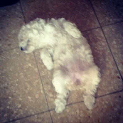 Profile Picture of Derian Rene Rodrígue (@derianrene2001) on Twitter