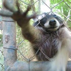 Profile Picture of Keenan Chadwick (@chadwick0559) on Pinterest