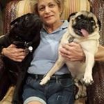 Profile Picture of Jane (@janefrantzen) on Instagram