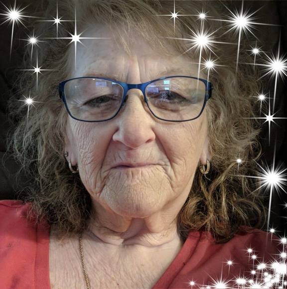 Profile Picture of Pam Andrews (@crftieladie) on Poshmark