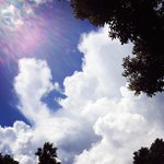 Profile Picture of Alyssa mclean (@tinkerdott) on Instagram