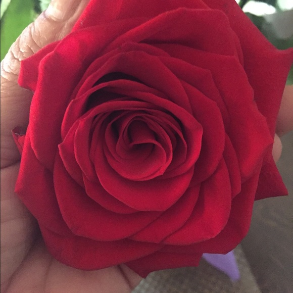 Profile Picture of Magida Jaber (@maggieshiha) on Poshmark