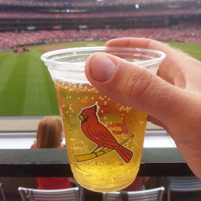 Profile Picture of Steve Sellmeyer (@breadfan888) on Twitter