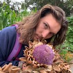 Profile Picture of Joshua Douglas Hubbard (@thehubbabird) on Instagram