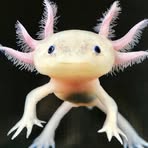 Profile Picture of Alice Newhouse (@mediallnew) on Facebook