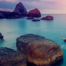 Profile Picture of Priscilla Walsh (@Priscil65101166) on Twitter