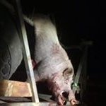 Profile Picture of Michael Eames (@eames.michael) on Instagram