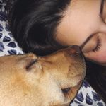 Profile Picture of Julia Grobler (@groblerjulia) on Instagram