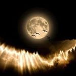 Profile Picture of David Mathena (@david.mathena.92) on Instagram