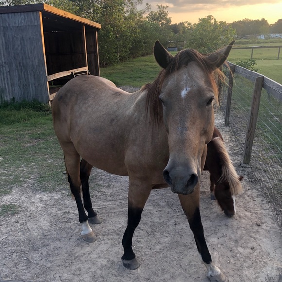 Profile Picture of Chase Monroe (@cmonroe1188) on Poshmark