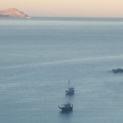 Profile Picture of Gaby Kester (@GabyAmyK) on Twitter