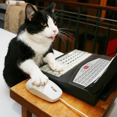 Profile Picture of Wu Yan Hon (colin) (@colinwu2010) on Twitter