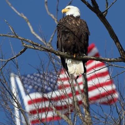 Profile Picture of Cindy Ritter (@Critter626) on Twitter