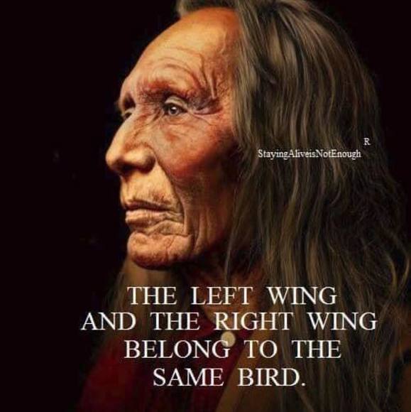 Profile Picture of Terry Halphen (@terryhalphen) on Poshmark