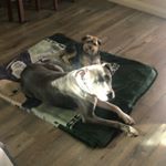 Profile Picture of Jeff Heyer (@heyerjeff) on Instagram