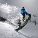 Profile Picture of Tommy Mooney (@plane_spotter_231) on Instagram