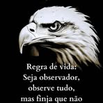 Profile Picture of Bryan El Gord (@Bryan-El-Gord) on Facebook