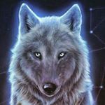 Profile Picture of Brandon (@panterdark232) on Instagram