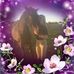 Profile Picture of Janet Morrow (@janet.morrow.180) on Facebook