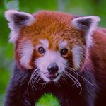Profile Picture of Jeremy Browning (@jeremy.browning2) on Instagram