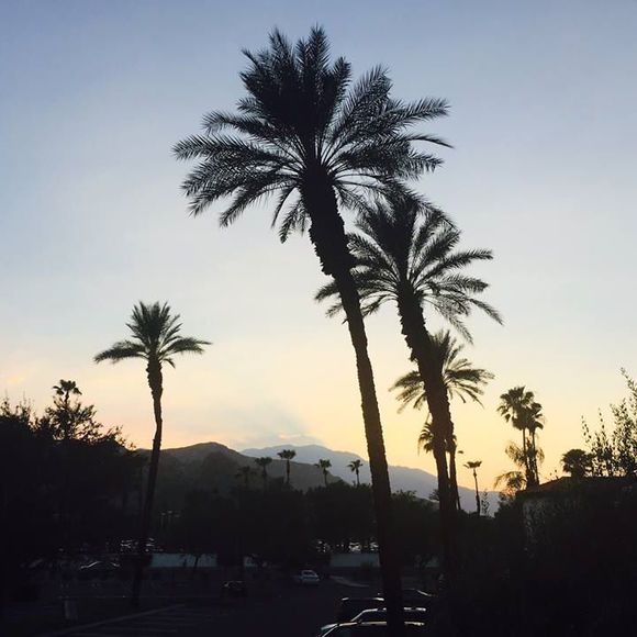 Profile Picture of Karen Capestro (@klcapestro) on Poshmark