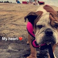 Profile Picture of Donna Neuling (@donna-neuling) on Quora