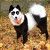 Profile Picture of Tyler DeGraw (@tyldegraw) on Pinterest