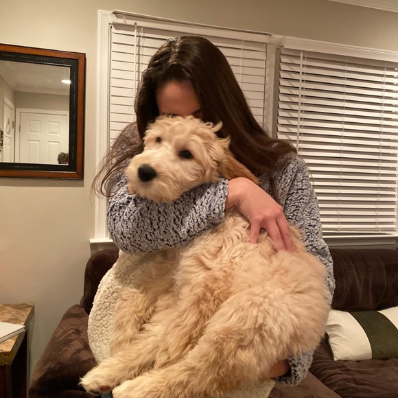 Profile Picture of Fabiola Sandoval (@fabiolasand) on Poshmark