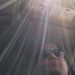Profile Picture of Jason B (@blanscetjason) on Pinterest