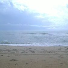 Profile Picture of Andrew Zabka (@PudgeDrew) on Twitter