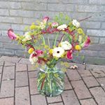 Profile Picture of Jilderda bloemen S’veen (@jilderda_surhuisterveen) on Instagram