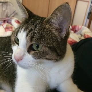 Profile Picture of Jaime Groves (@jaimegroves) on Instagram