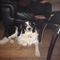 Profile Picture of Neil Kearney (@neil.kearney.33865854) on Facebook
