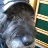 Profile Picture of Joel Phillips (@@joelphillips32) on Tiktok