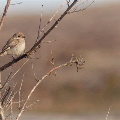 Peter Backman - Twitter Profile Picture of Peter Backman (@PeterBackman10) on Twitter