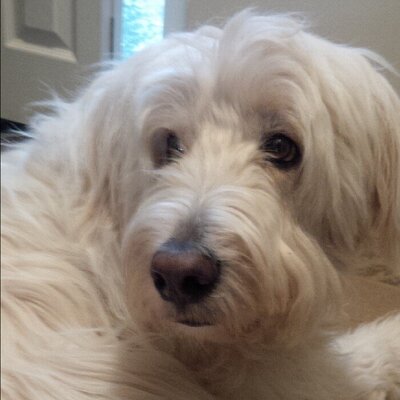 Profile Picture of Nancy Landers (@nancy_landers) on Twitter