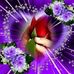Profile Picture of Dwayne McCauley (@parti.parti.507027) on Facebook
