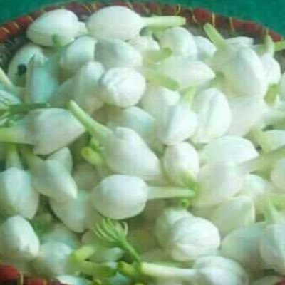 Profile Picture of Preeti Joshi (@Preetijoshi1885) on Twitter