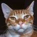 Profile Picture of Bruce Leibowitz (@bruce.leibowitz) on Facebook